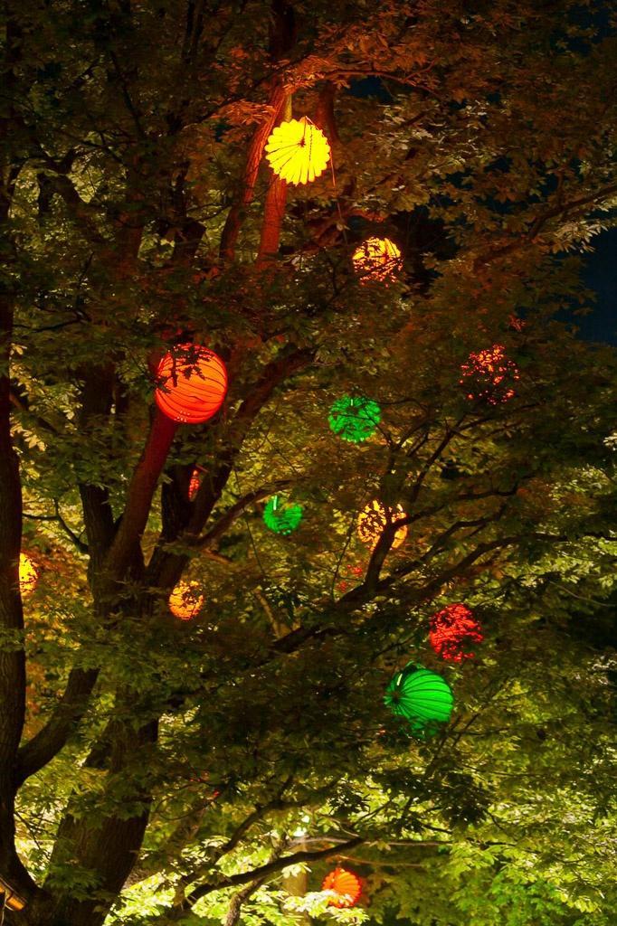 Der wetterfeste und robuste Lampion Barlooon bei der Bergkirchweih in Erlangen an den Kellern in den Bäumen in der Größe L und verschiedenen Farben. Der wetterfeste und robuste Lampion Barlooon bei der Bergkirchweih in Erlangen an den Kellern in den Bäumen in der Größe L und verschiedenen Farben.