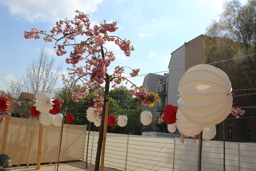 Unser Barlooon in weiß und rot in der Größe S und M bei der Gartenschau in der Havelregion 2015 – Beim Packhof in der Kirschblüte. Unser Barlooon in weiß und rot in der Größe S und M bei der Gartenschau in der Havelregion 2015 - Beim Packhof in der Kirschblüte.