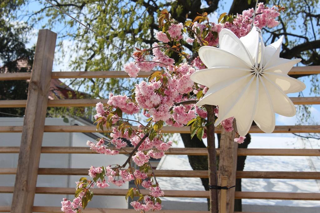 Unser Barlooon in weiß in der Größe S bei der Gartenschau in der Havelregion 2015 – Der Frühling ist da. Unser Barlooon in weiß in der Größe S bei der Gartenschau in der Havelregion 2015 - Der Frühling ist da.