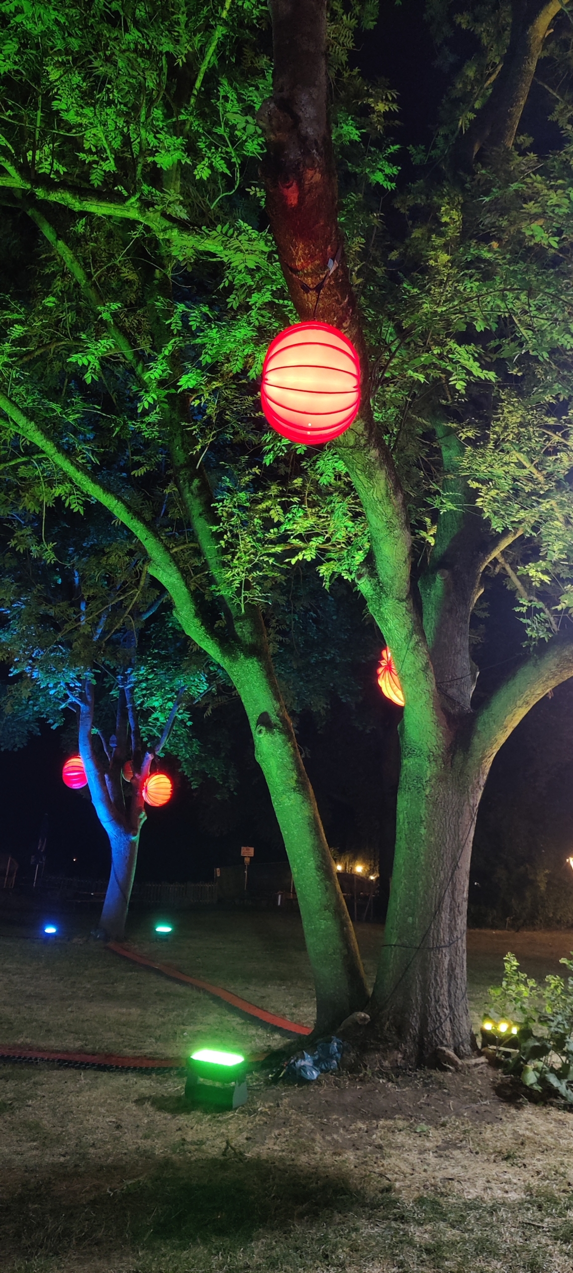 Barlooon wetterfester Groesse L Lampion beleuchtet Referenz Kulturinsel Barlooon wetterfester Groesse L Lampion beleuchtet Referenz Kulturinsel